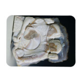 Cameo met Cosimo de Medici (1519-74) en zijn Magneet (Horizontaal)