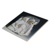 Cameo met Cosimo de Medici (1519-74) en zijn Tegeltje (Zijkant)