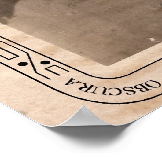 Camera Obscura #351 Poster (Hoek)