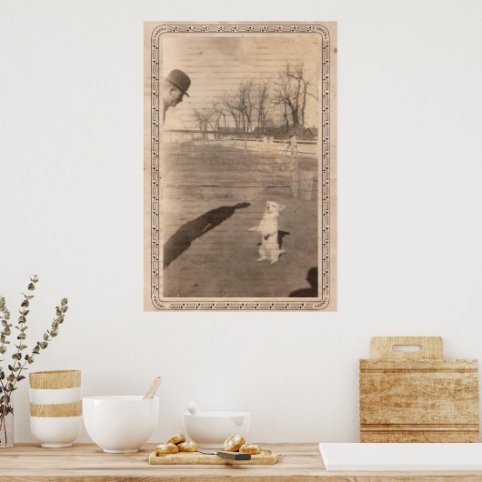 Camera Obscura #351 Poster (Keuken)