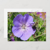 Camera Shy Bumble Bee Briefkaart (Voorkant / Achterkant)