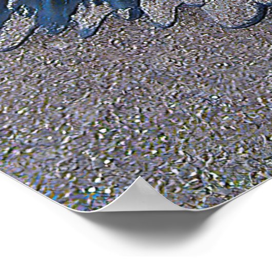 Camera Shy Poster (Hoek)