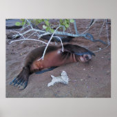 Camera Shy Poster (Voorkant)