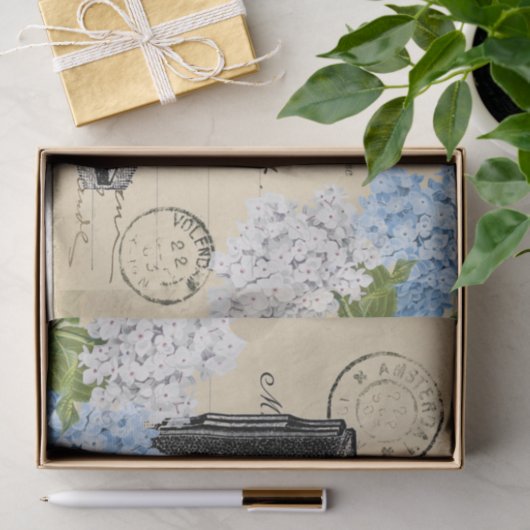  camerablauw, blauw Briefkaart, weefselpapier Tissuepapier (Geschenk)