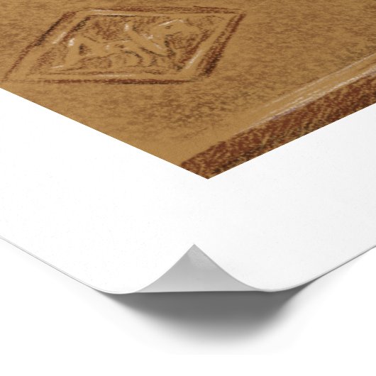  camera's - potloodtekening in Sepia Tone Poster (Hoek)