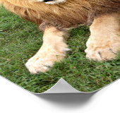 Cameron 1 11x11 poster (Hoek)