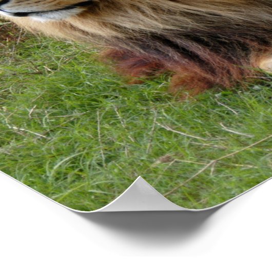 Cameron 3 11x11 poster (Hoek)