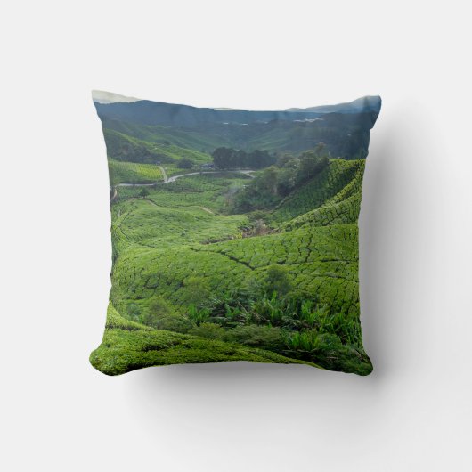 Cameron Highlands Tea Plantation Kussen (Voorkant)