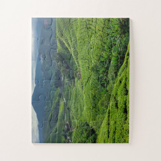 Cameron Highlands Tea Plantation Legpuzzel (Verticaal)