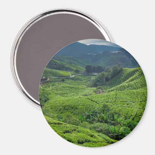 Cameron Highlands Tea Plantation Magneet (Voorkant / Achterkant)