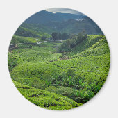 Cameron Highlands Tea Plantation Magneet (Voorkant)
