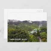 Cameron Highlands tea plantation, Maleisië Briefkaart (Voorkant / Achterkant)