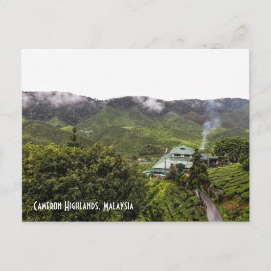 Cameron Highlands tea plantation, Maleisië Briefkaart (Voorkant)