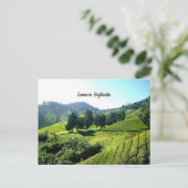 Cameron Highlands, Tea Plantation, Maleisië Briefkaart (Staand voorkant)