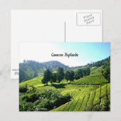 Cameron Highlands, Tea Plantation, Maleisië Briefkaart (Voorkant / Achterkant)
