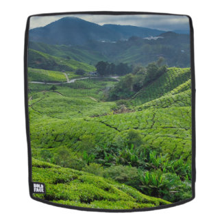 Cameron Highlands Tea Plantation Rugtassen