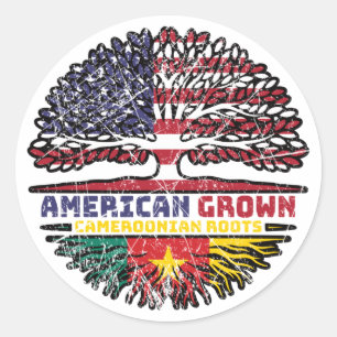 Cameroon Cameroonian American USA Verenigde Staten Ronde Sticker