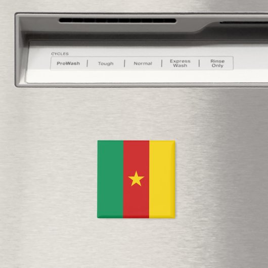 Cameroon Flag Magnet (Insitu (Vaatwasser))