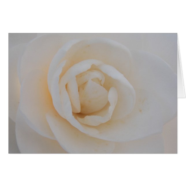 Camilla Bliss (Voorkant Horizontaal)