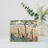 Camille Pissarro - Apple Harvest Briefkaart (Staand voorkant)