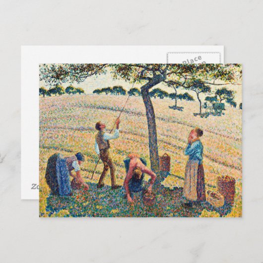 Camille Pissarro - Apple Harvest Briefkaart (Voorkant / Achterkant)