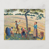 Camille Pissarro - Apple Harvest Briefkaart (Voorkant)