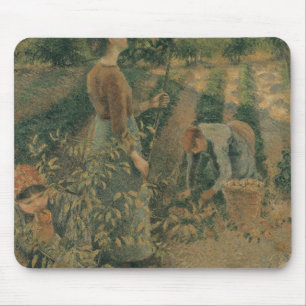 Camille Pissarro Apple Pickers, 1886 Muismat