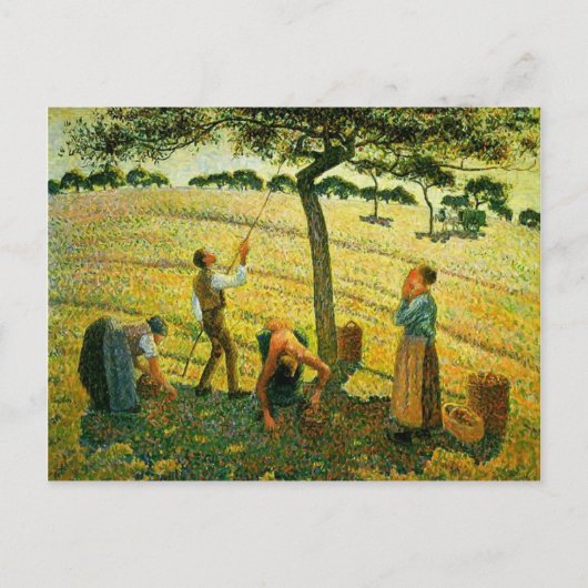 Camille Pissarro- Apple Picking in Eragny-sur-Epte Briefkaart (Voorkant)