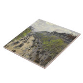 Camille Pissarro - Boulevard Montmartre, Spring Tegeltje (Zijkant)