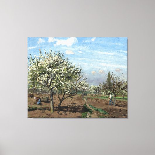 Camille Pissarro Orchard in Bloom Louveciennes Canvas Afdruk (Voorkant)