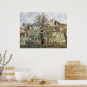 Camille Pissarro - Orchard met bloeiende bomen 187 Poster (Keuken)