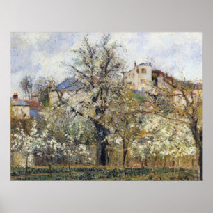 Camille Pissarro - Orchard met bloeiende bomen 187 Poster