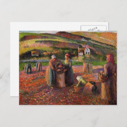 Camille Pissarro- Potato Harvest Briefkaart (Voorkant / Achterkant)