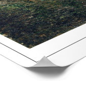 Camille Pissarro Zedign Art Poster #190-2 (Hoek)