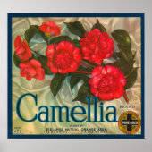 Camillia Brand Sinaasappels Classic Fruit Crate La Poster (Voorkant)