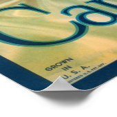 Camillia Brand Sinaasappels Classic Fruit Crate La Poster (Hoek)