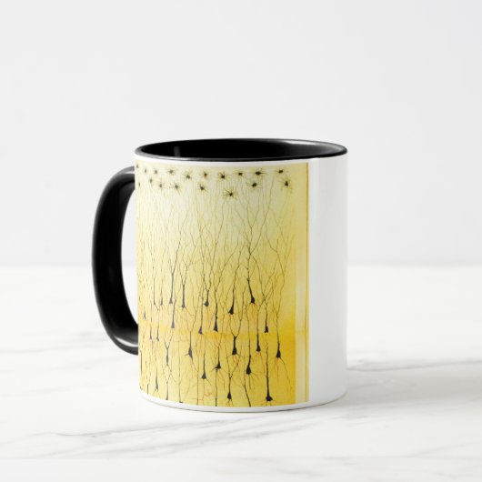 Camillo Golgi Mok (Voorkant links)