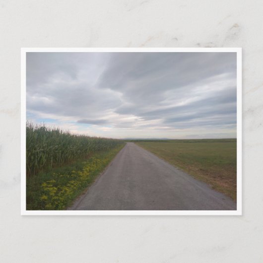 Camino de Santiago del Norte (Spanje) Briefkaart (Voorkant)