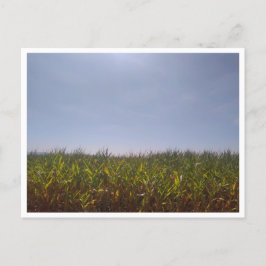 Camino de Santiago del Norte (Spanje) Briefkaart