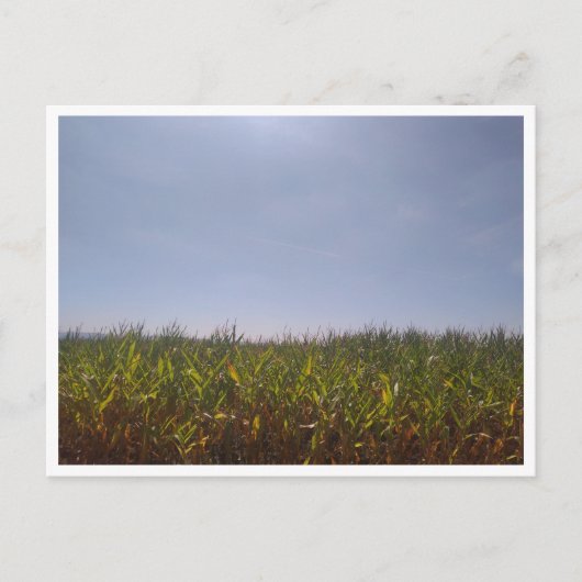 Camino de Santiago del Norte (Spanje) Briefkaart (Voorkant)