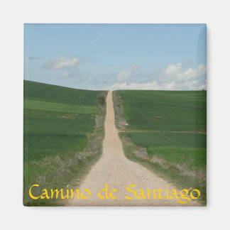Camino de Santiago Magneet