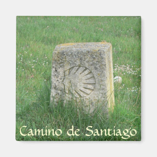 Camino de Santiago Magneet