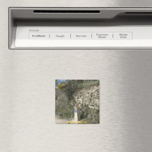 Camino de Santiago Magneet (Insitu (Vaatwasser))