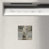 Camino de Santiago Magneet (Insitu (Vaatwasser))