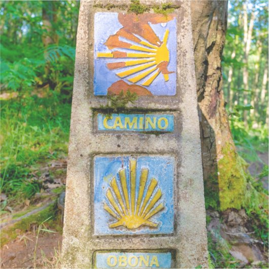 Camino de Santiago Sticker (Voorkant)