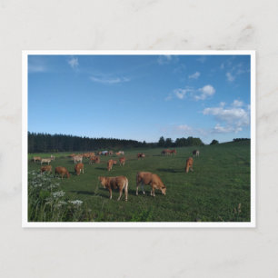 Camino Primitivo de Santiago (Spanje) Briefkaart