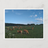 Camino Primitivo de Santiago (Spanje) Briefkaart (Voorkant)