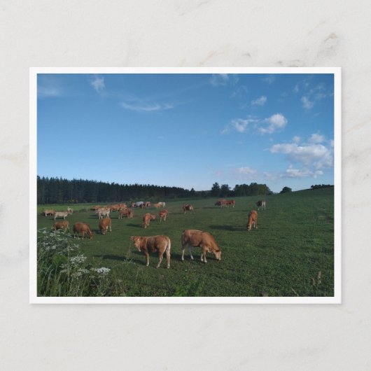 Camino Primitivo de Santiago (Spanje) Briefkaart (Voorkant)