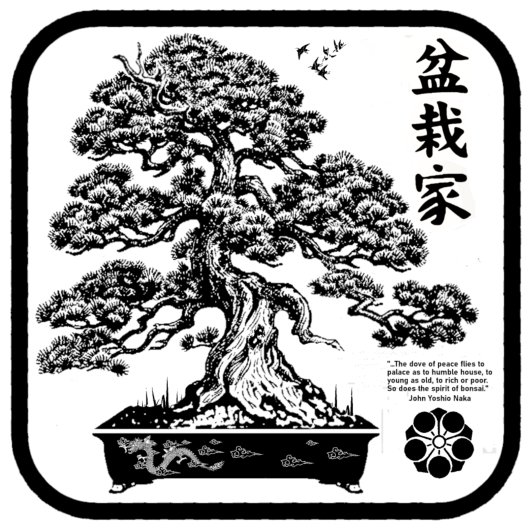 Camiseta bonsaika 2 t-shirt