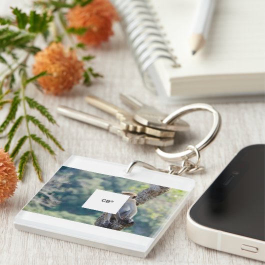 camiseta monkey  sleutelhanger (Voorkant Rechts)